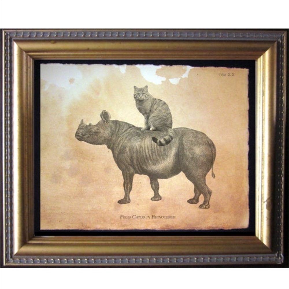 Wild Cat Riding Rhino Wall Art Print Tea Stained
